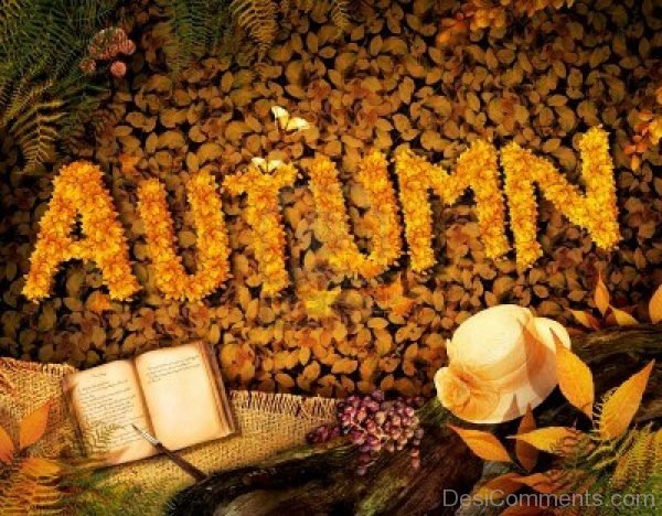 Photo Of Autumn