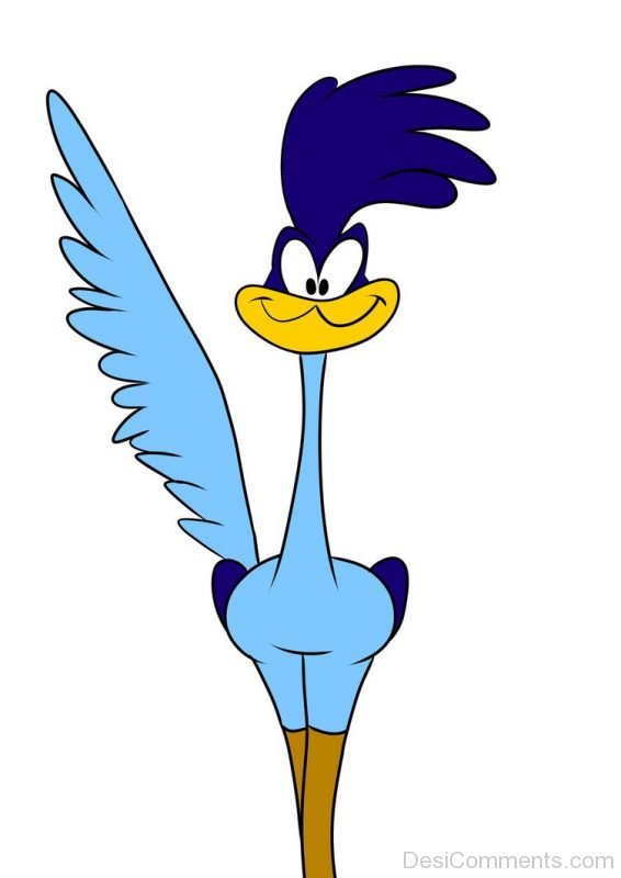 Pic Of Road Runner