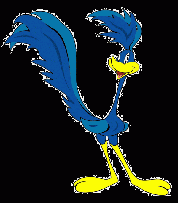 Picture Of Road Runner