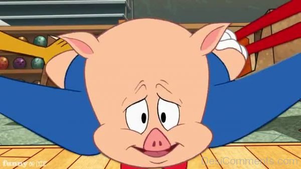 Porky Pig Flying