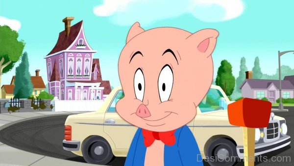 Porky Pig - Nice Photo