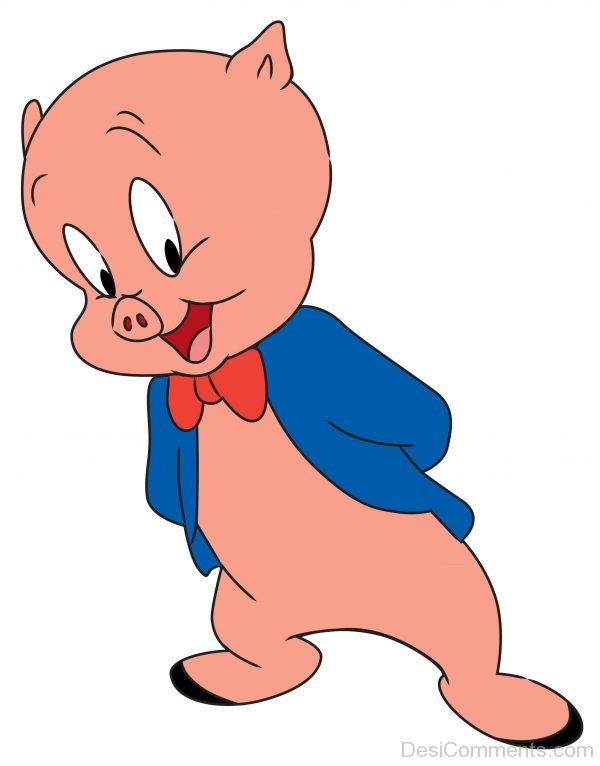 Porky Pig – Picture
