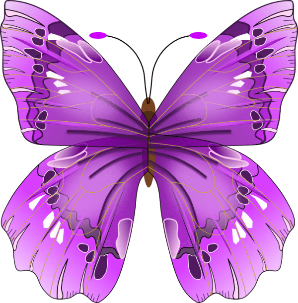 Purple Butterfly