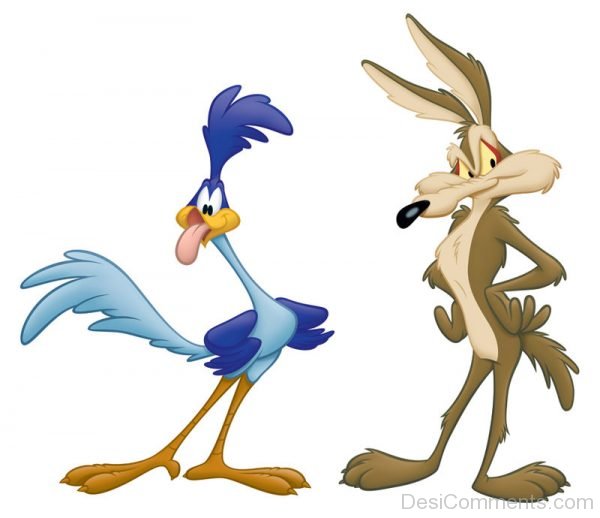 Road Runner And Wile E. Coyote Image