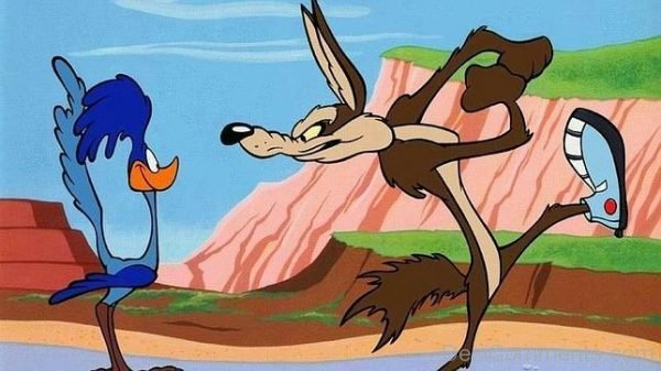 Road Runner And Wile E. Coyote Pic