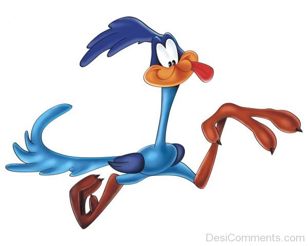 Road Runner Image