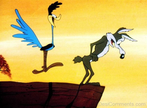 Road Runner – Photo