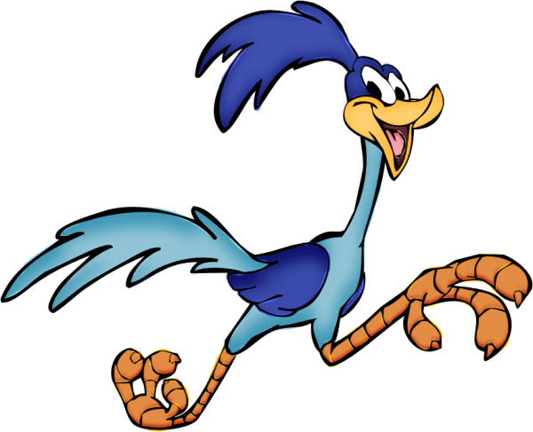 Road Runner – Photo