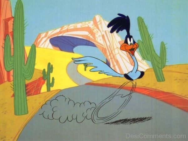 Road Runner Running