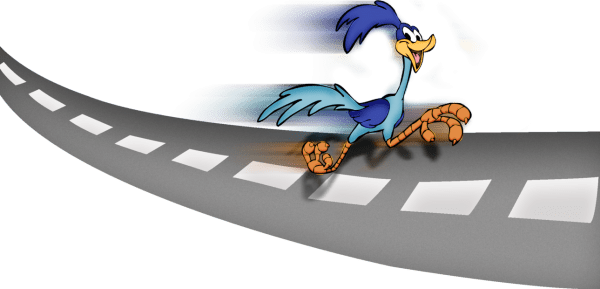 Road Runner Running Image