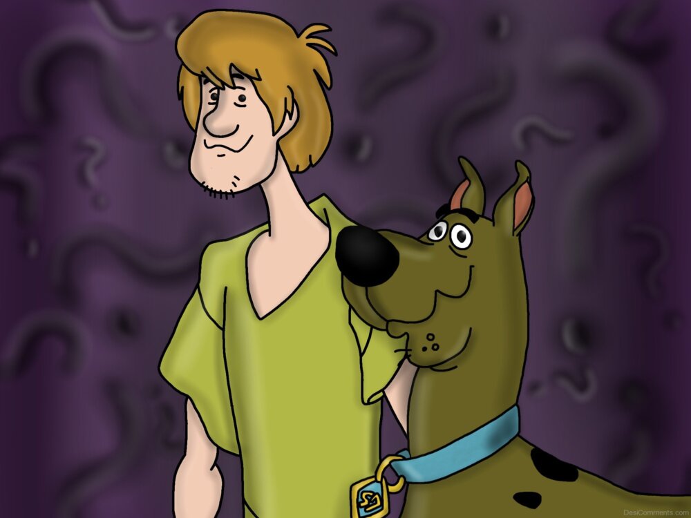  Scooby  Doo  And Shaggy  DesiComments com