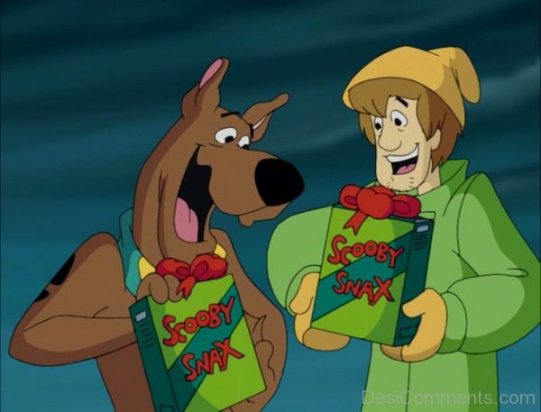 Scooby Doo And Shaggy Holding Snack Box