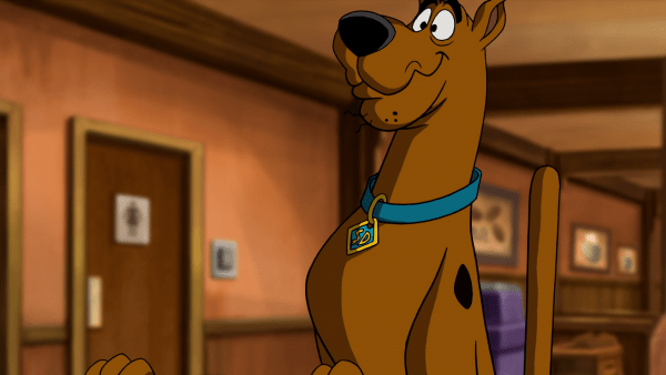 Scooby Doo Looking Something