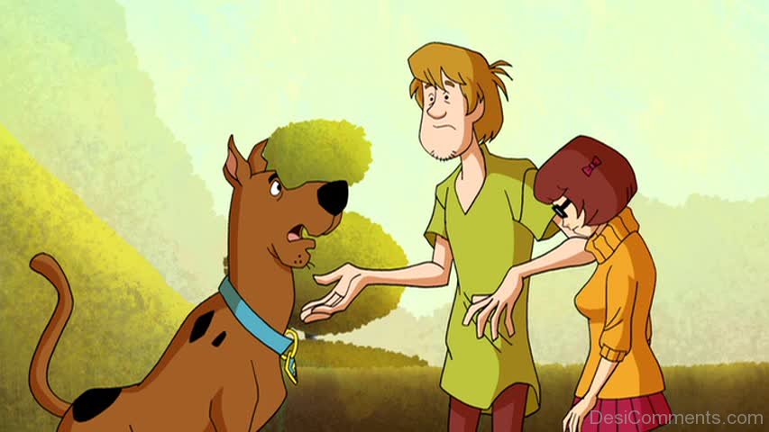 Scooby Shaggy And Velma Image.