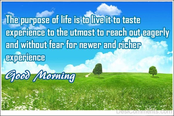 The Purpose Of Life Is To Live It To Taste Experience