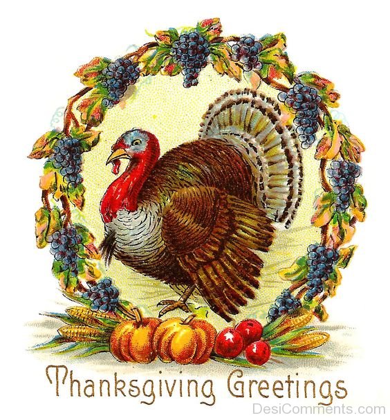 Thanksgiving Greetings