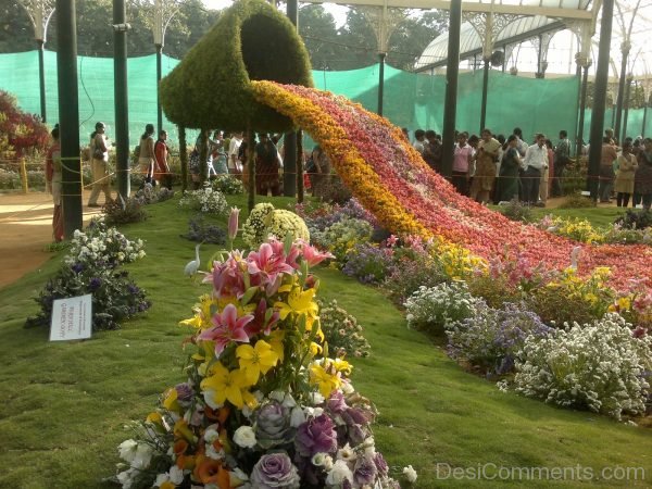 The Delhi Flower Show