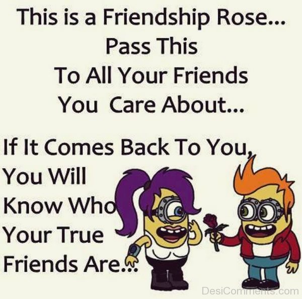 This Is A Friendship Rose Pass This To All Your Friends You Care About