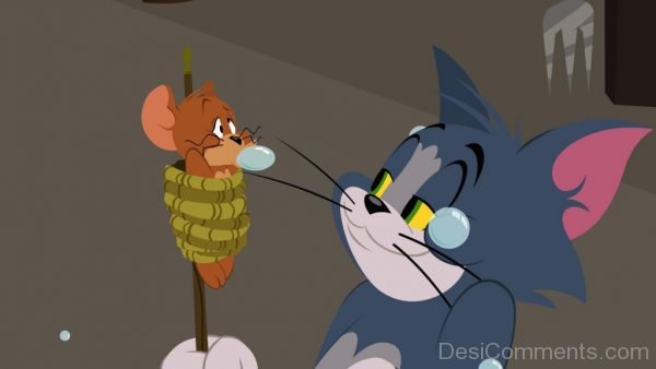 Tom And Jerry Image.