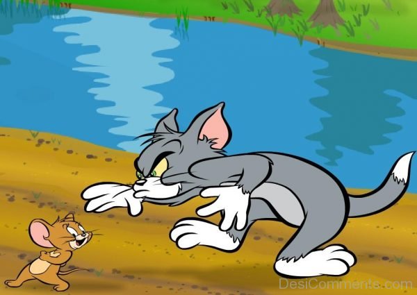 Tom And Jerry - Pic