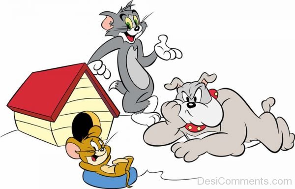 Tom, Jerry An Bulldog