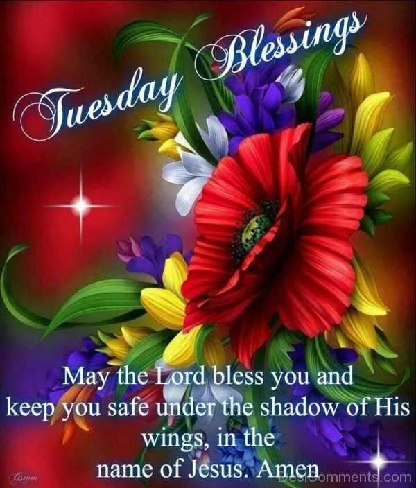 Tuesday Blessings