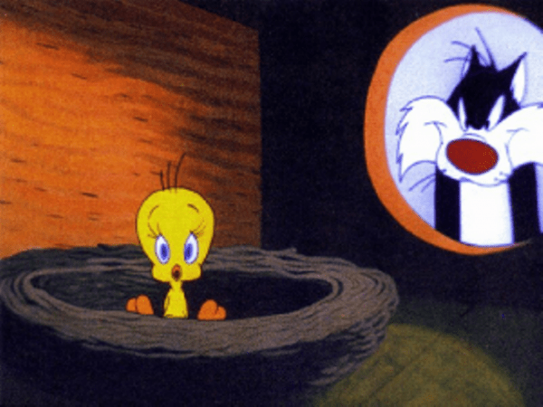 Tweety Looking Shocked