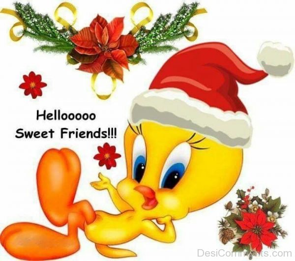 Tweety - Hello Sweet Friends