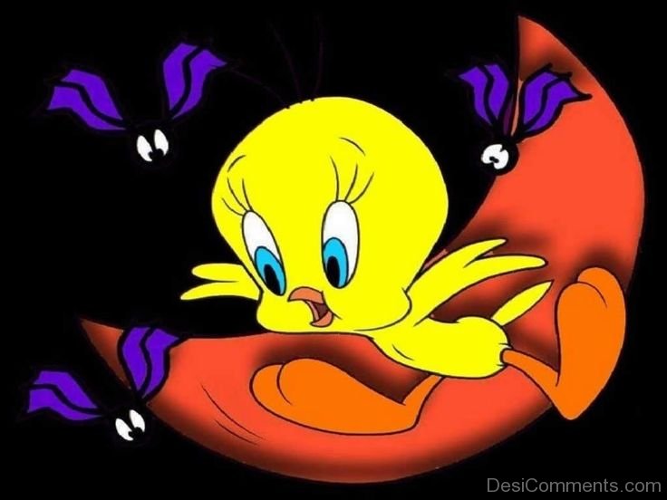 Tweety bird cartoon videos for free download