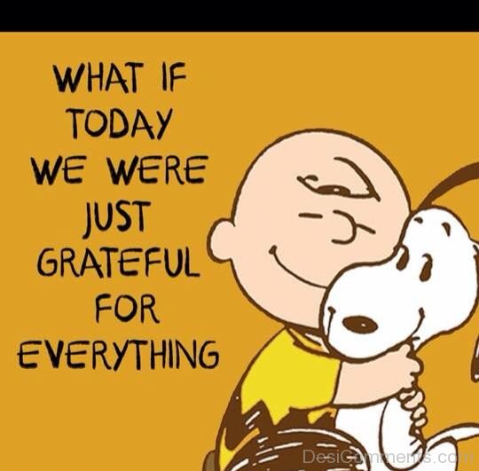 What If Today We Were Just Grateful For Everything