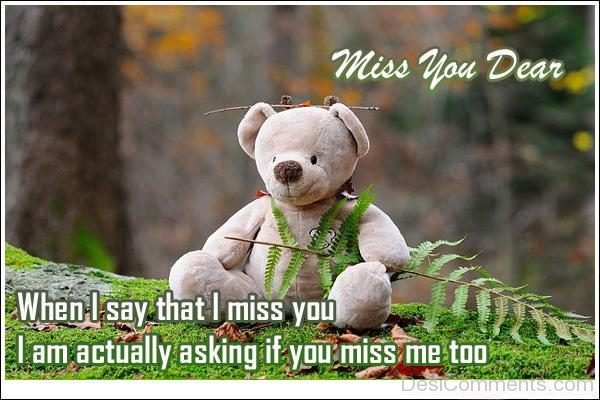 When I Say That I Miss You