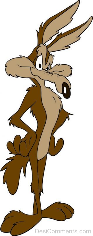 Wile E. Coyote Pic