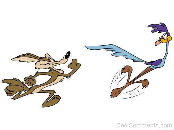 Wile E. Coyote And Road Runnrt Picture