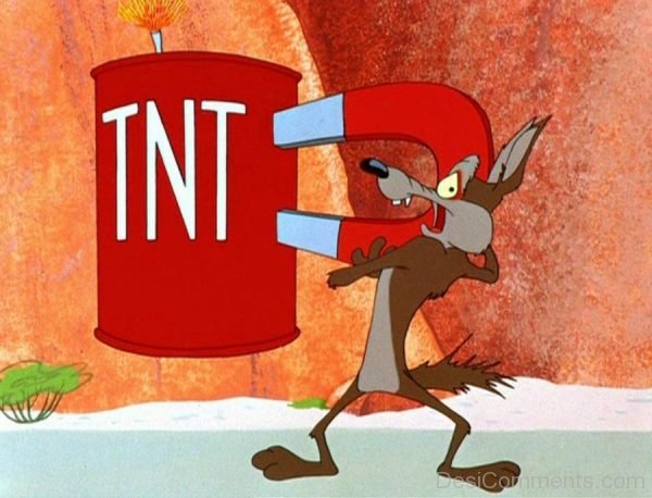 Wile E. Coyote Holding Pic