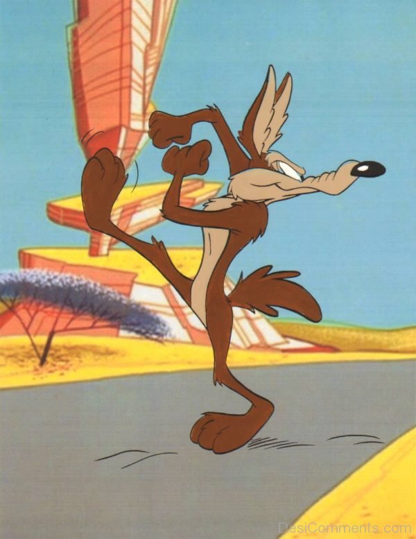 Wile E. Coyote Looking Something - Image