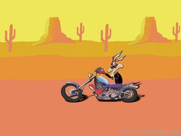 Wile E. Coyote Riding Bike