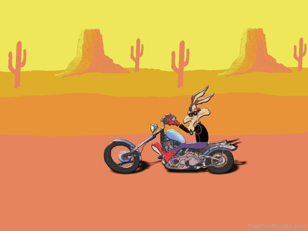 Wile E. Coyote Pictures, Images, Graphics - Page 2