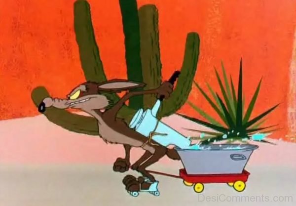 Wile E. Coyote Skating