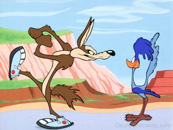 Wile E. Coyote With Road Runner Image