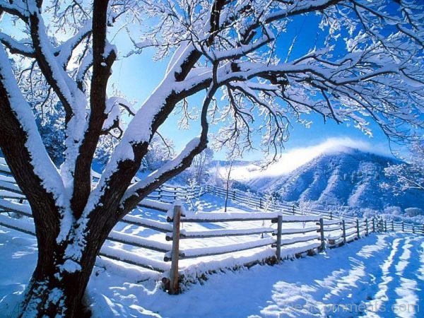 Winter - Image