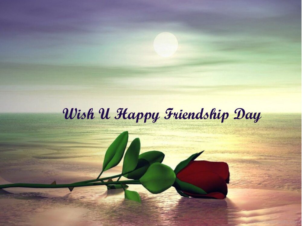Wish You Happy Friendship Day - DesiComments.com