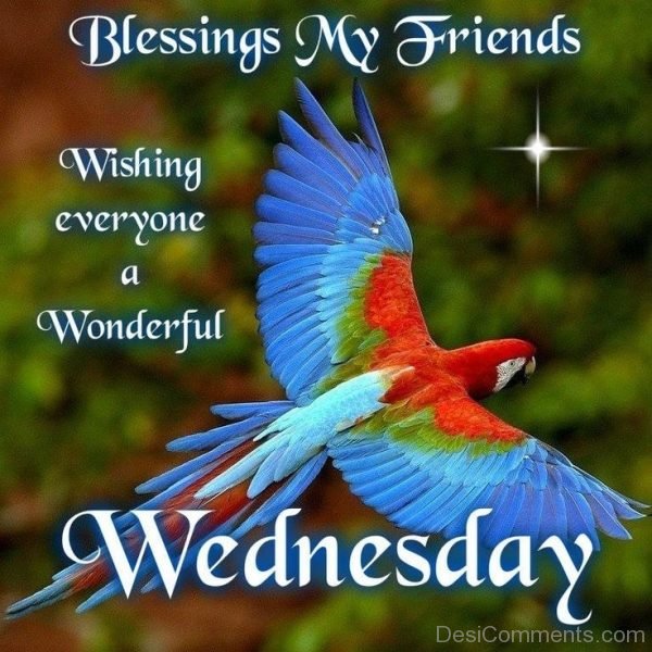 Wishing Everyone A Wonderful Wednesday