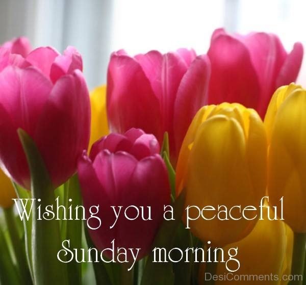 Wishing You A Peaceful Sunday Morning