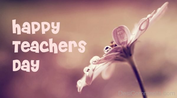 Wonderful Teacher’s Day Image