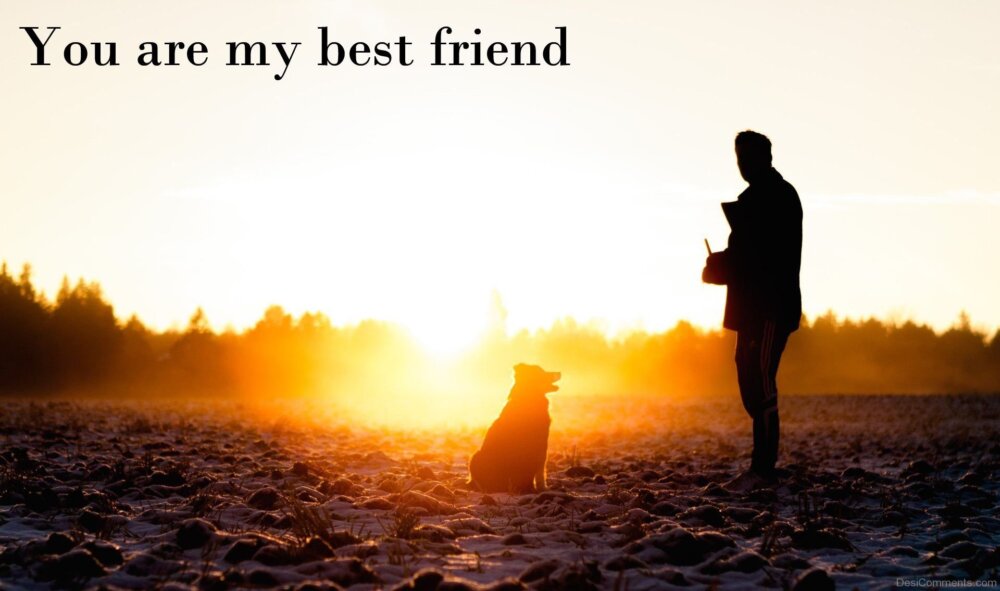 You Are My Best Friend - DesiComments.com