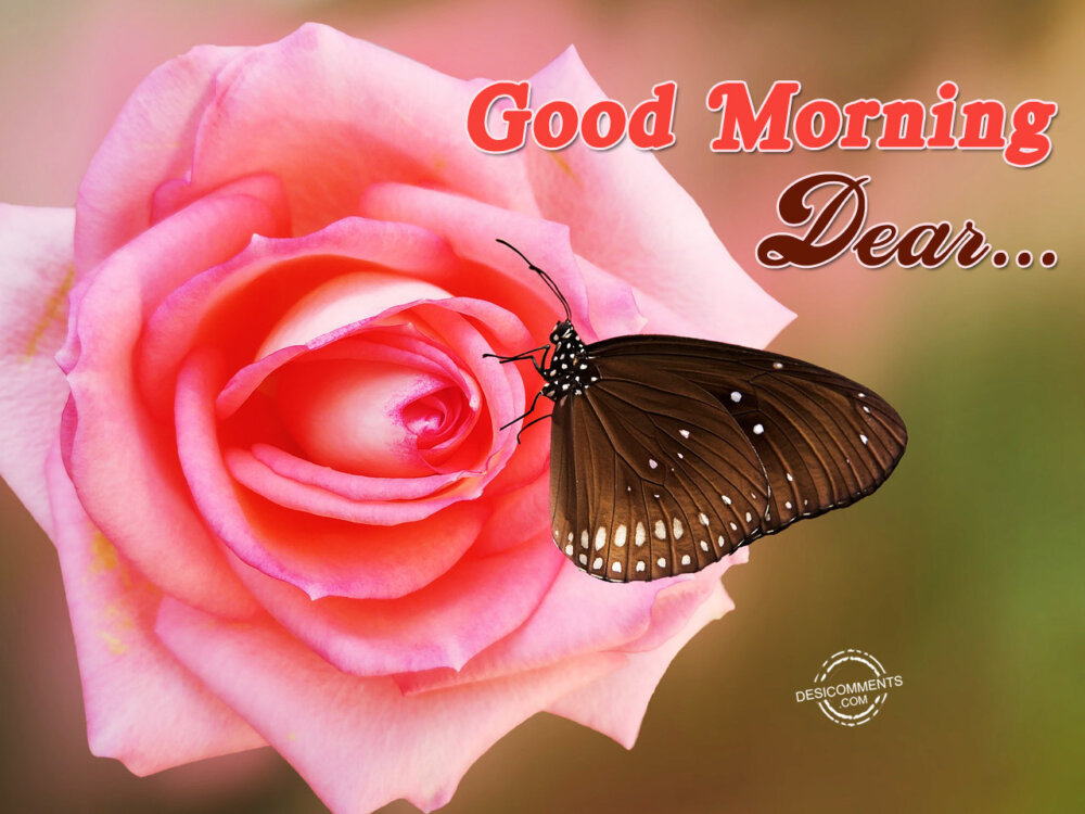 Good Morning Dear - DesiComments.com