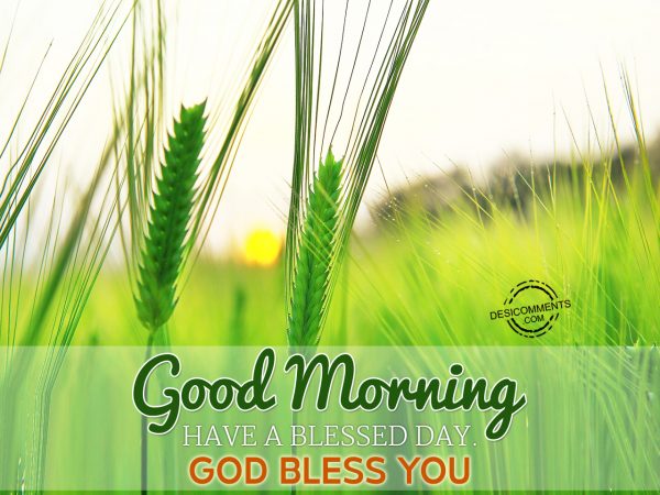 Good Morning-God Bless You...