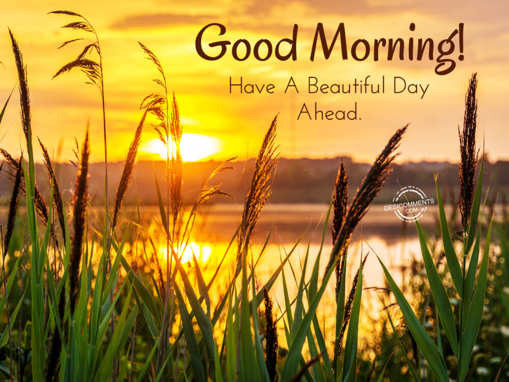 Good Morning Have A Beautiful Day Ahead - DesiComments.com