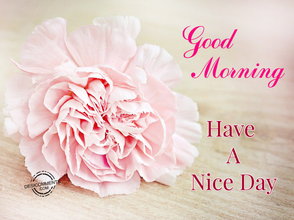 Good Morning Have A Nice Day - DesiComments.com