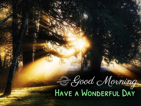 Good Morning- Have A Wonderful Day!